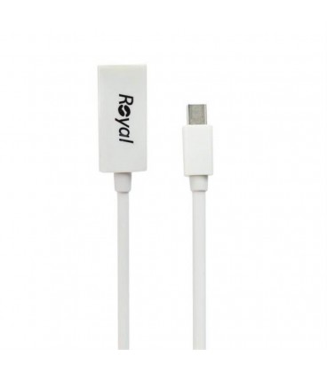 تبديل ROYAL رويال MINI DISPLAY به HDMI