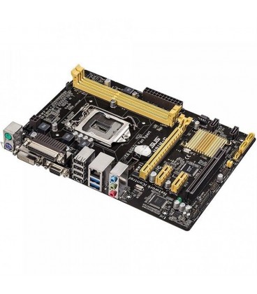 مادربرد Intel LGA 1150 ASUS H81 M-D يكسال شركتي