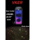اسپيكر شارژي چمداني VKER BL 4455 دوساب 10