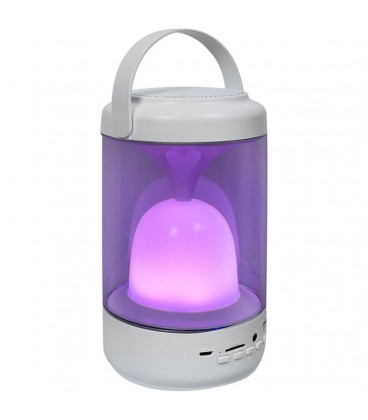 اسپيكر شارژي SX 20
