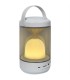 اسپيكر شارژي SX 20