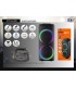 اسپيكر شارژي چمداني ENZO PARTY BOX 1000