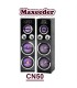 اسپيكر دو تيكه ايستاده MAXEEDER CN 50
