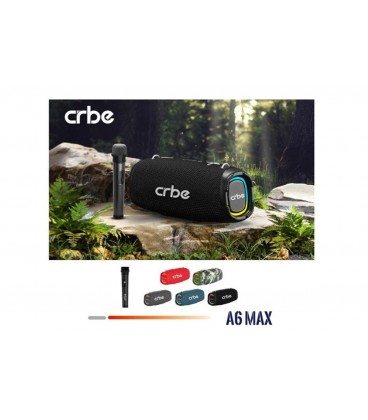 اسپيكر شارژي چمداني CRBE A6 MAX 80W