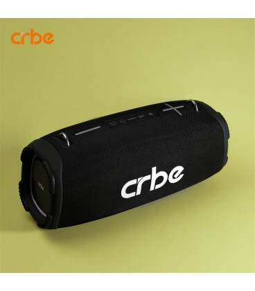 اسپيكر شارژي چمداني CRBE A60 100W